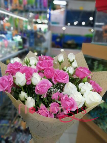 Нежная роза